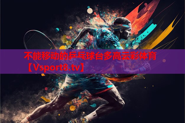 不能移動(dòng)的乒乓球臺多高云彩體育