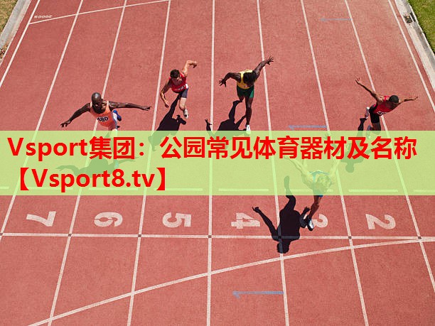 Vsport集團：公園常見(jiàn)體育器材及名稱(chēng)