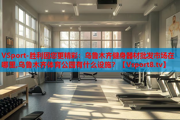 VSport-勝利因您更精彩：烏魯木齊健身器材批發(fā)市場(chǎng)在哪里,烏魯木齊體育公園有什么設施？