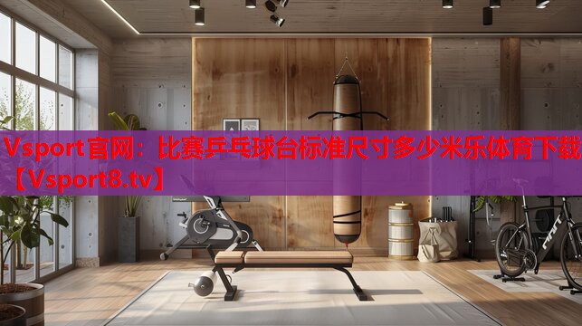 Vsport官網(wǎng)：比賽乒乓球臺標準尺寸多少米樂(lè )體育下載