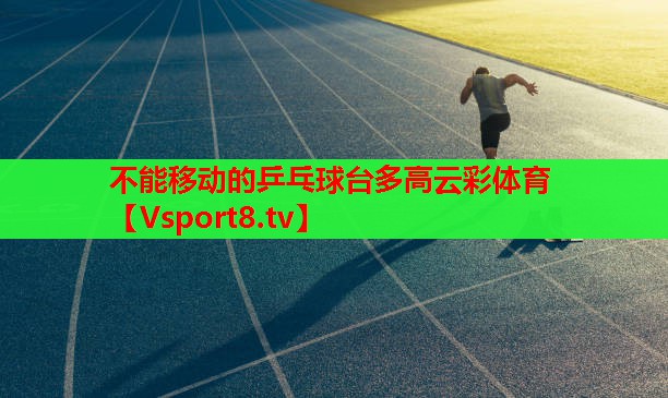 不能移動(dòng)的乒乓球臺多高云彩體育
