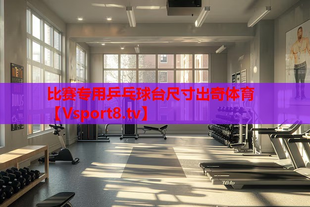 比賽專(zhuān)用乒乓球臺尺寸出奇體育