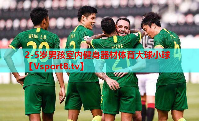 2-5歲男孩室內健身器材體育大球小球