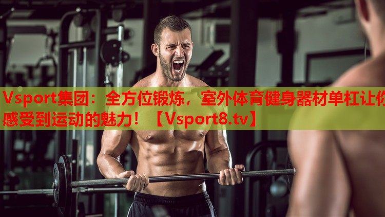 Vsport集團：全方位鍛煉，室外體育健身器材單杠讓你感受到運動(dòng)的魅力！