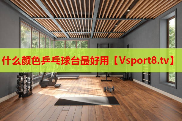 什么顏色乒乓球臺最好用