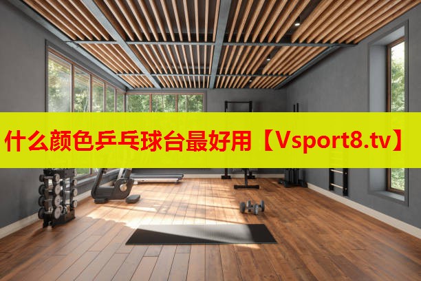 什么顏色乒乓球臺最好用